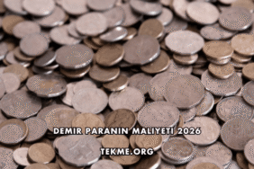 Demir Paranın Maliyeti 2026