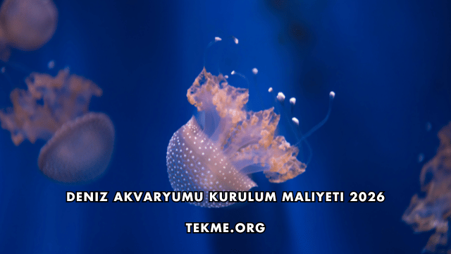 Deniz Akvaryumu Kurulum Maliyeti 2026