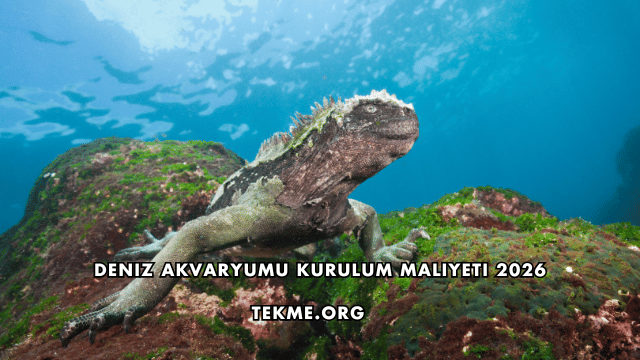 Deniz Akvaryumu Kurulum Maliyeti 2026