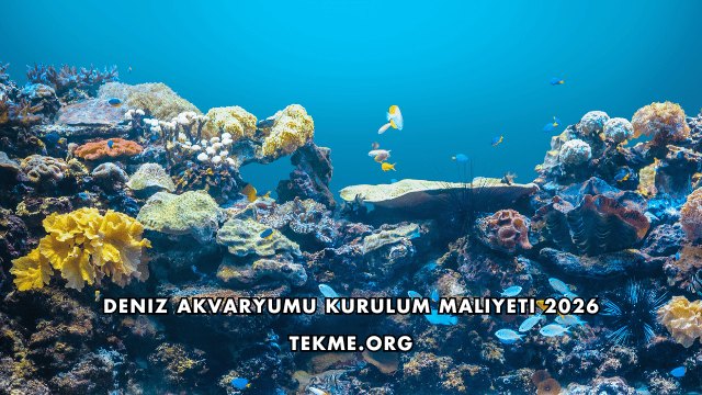 Deniz Akvaryumu Kurulum Maliyeti 2026