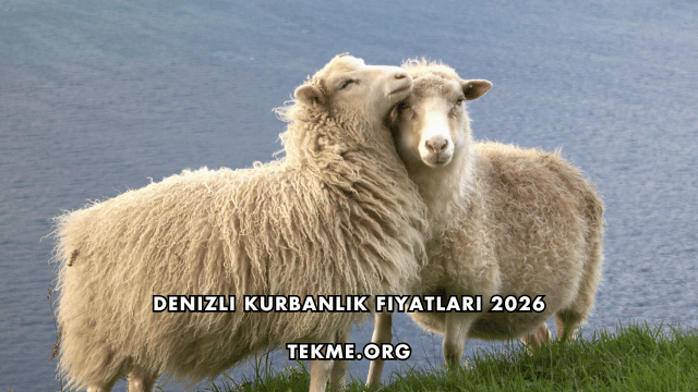 Denizli Kurbanlık Fiyatları 2026