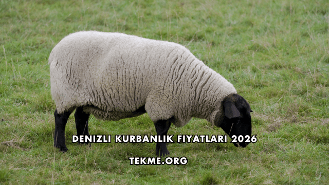 Denizli Kurbanlık Fiyatları 2026