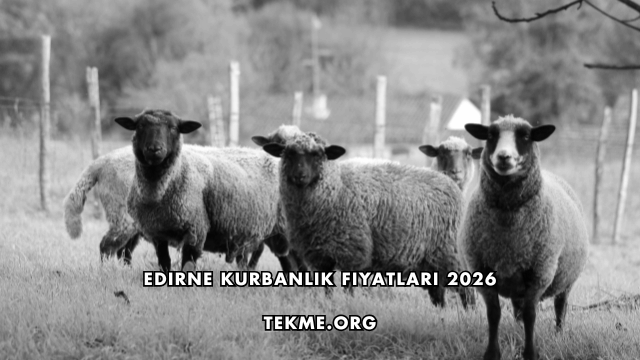Edirne Kurbanlık Fiyatları 2026