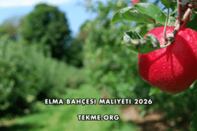 Elma Bahçesi Maliyeti 2026