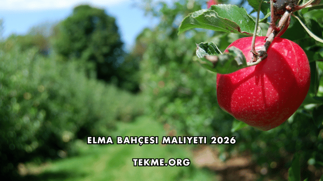Elma Bahçesi Maliyeti 2026