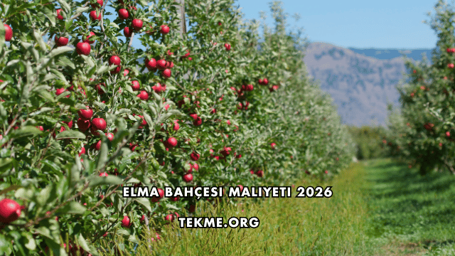 Elma Bahçesi Maliyeti 2026