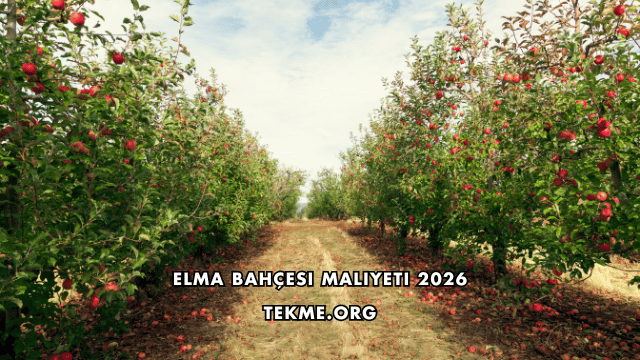 Elma Bahçesi Maliyeti 2026