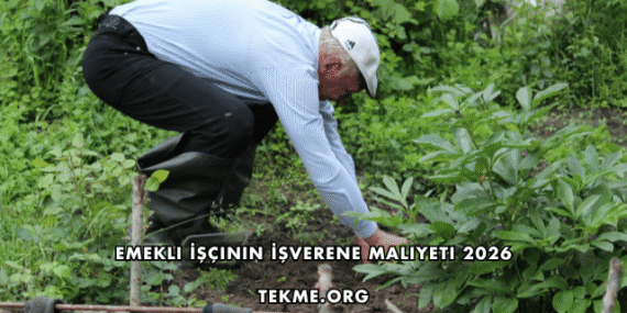 Emekli İşçinin İşverene Maliyeti 2026