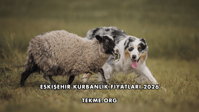 Eskişehir Kurbanlık Fiyatları 2026