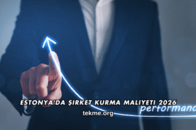 Estonya'da Şirket Kurma Maliyeti 2026