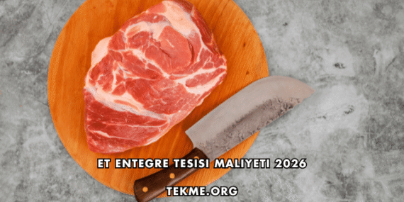 Et Entegre Tesisi Maliyeti 2026