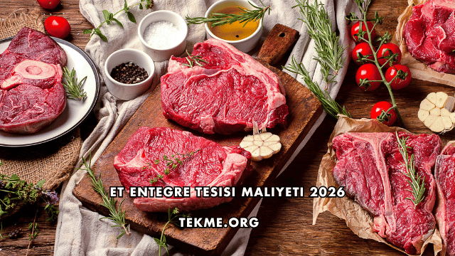 Et Entegre Tesisi Maliyeti 2026