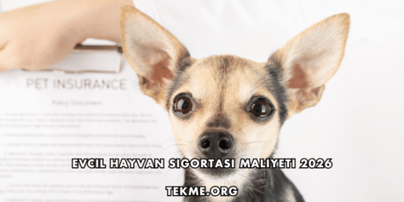Evcil Hayvan Sigortası Maliyeti 2026