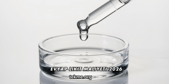 Evyap Likit Maliyeti 2026
