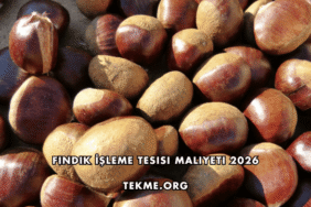 Fındık İşleme Tesisi Maliyeti 2026
