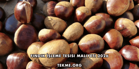 Fındık İşleme Tesisi Maliyeti 2026