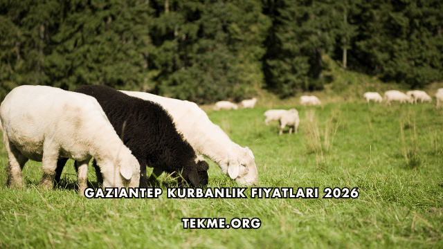 Gaziantep Kurbanlık Fiyatları 2026