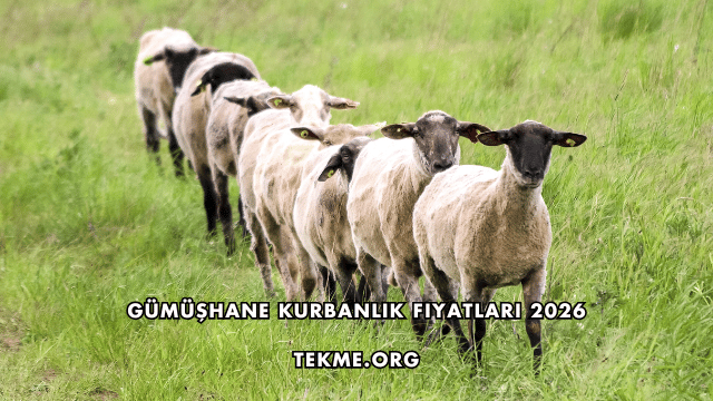 Gümüşhane Kurbanlık Fiyatları 2026