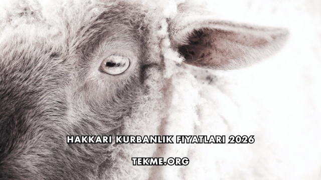 Hakkari Kurbanlık Fiyatları 2026