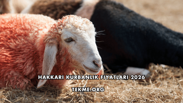 Hakkari Kurbanlık Fiyatları 2026