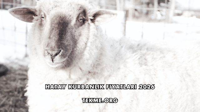 Hatay Kurbanlık Fiyatları 2026