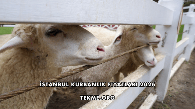 İstanbul Kurbanlık Fiyatları 2026
