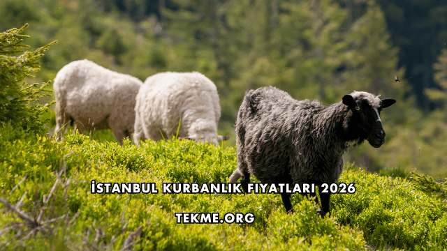 İstanbul Kurbanlık Fiyatları 2026