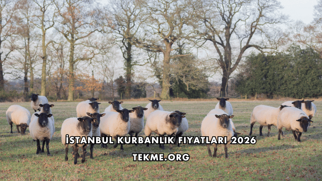 İstanbul Kurbanlık Fiyatları 2026
