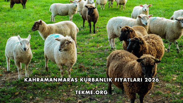 Kahramanmaraş Kurbanlık Fiyatları 2026