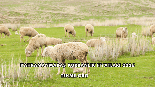 Kahramanmaraş Kurbanlık Fiyatları 2026