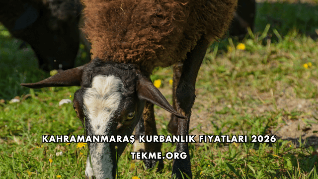 Kahramanmaraş Kurbanlık Fiyatları 2026