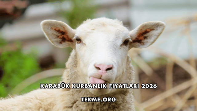 Karabük Kurbanlık Fiyatları 2026