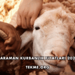 Karaman Kurbanlık Fiyatları 2026