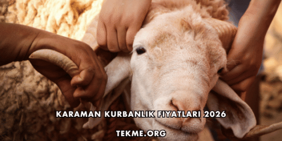 Karaman Kurbanlık Fiyatları 2026