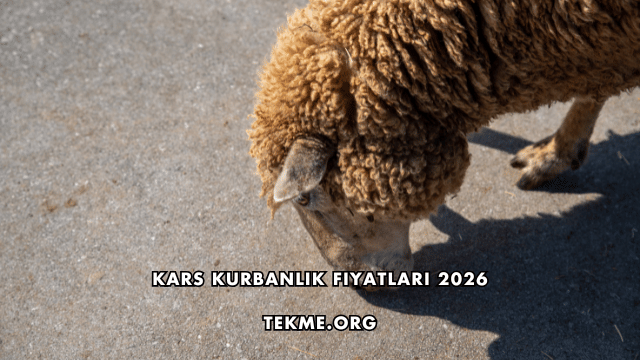 Kars Kurbanlık Fiyatları 2026