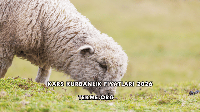 Kars Kurbanlık Fiyatları 2026