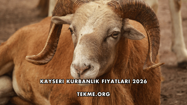 Kayseri Kurbanlık Fiyatları 2026