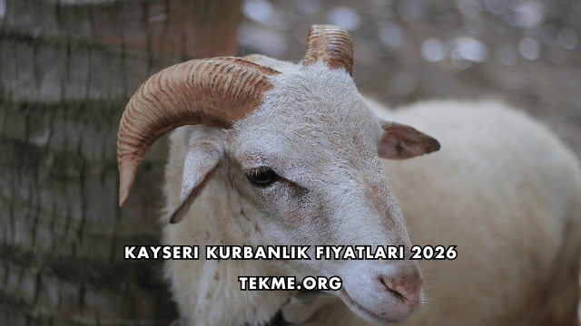 Kayseri Kurbanlık Fiyatları 2026