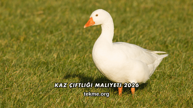 Kaz Çiftliği Maliyeti 2026