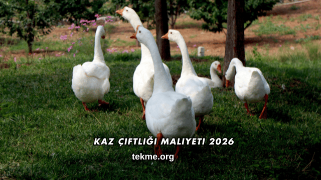 Kaz Çiftliği Maliyeti 2026