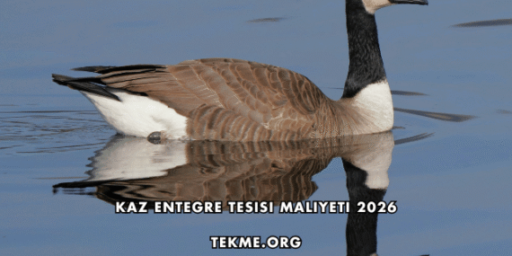 Kaz Entegre Tesisi Maliyeti 2026
