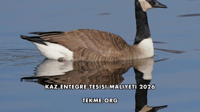 Kaz Entegre Tesisi Maliyeti 2026