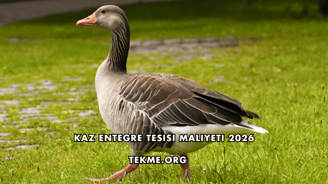 Kaz Entegre Tesisi Maliyeti 2026