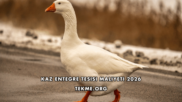 Kaz Entegre Tesisi Maliyeti 2026