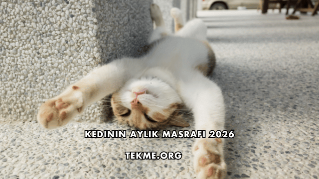 Kedinin Aylık Masrafı 2026