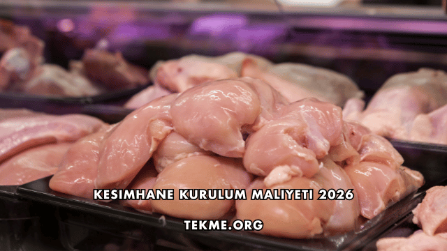 Kesimhane Kurulum Maliyeti 2026