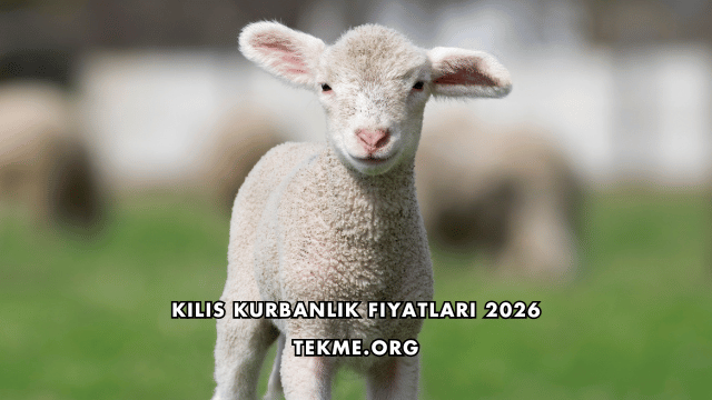 Kilis Kurbanlık Fiyatları 2026