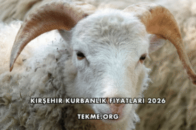 Kırşehir Kurbanlık Fiyatları 2026