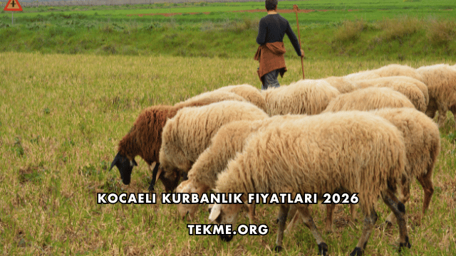 Kocaeli Kurbanlık Fiyatları 2026