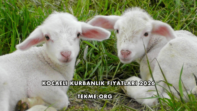 Kocaeli Kurbanlık Fiyatları 2026
